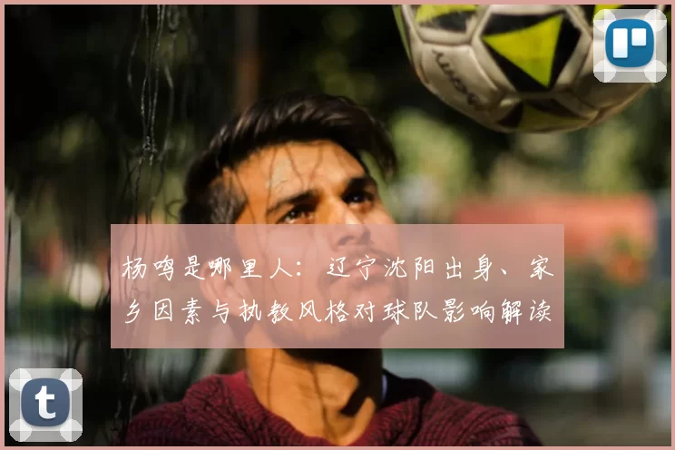 杨鸣是哪里人：辽宁沈阳出身、家乡因素与执教风格对球队影响解读