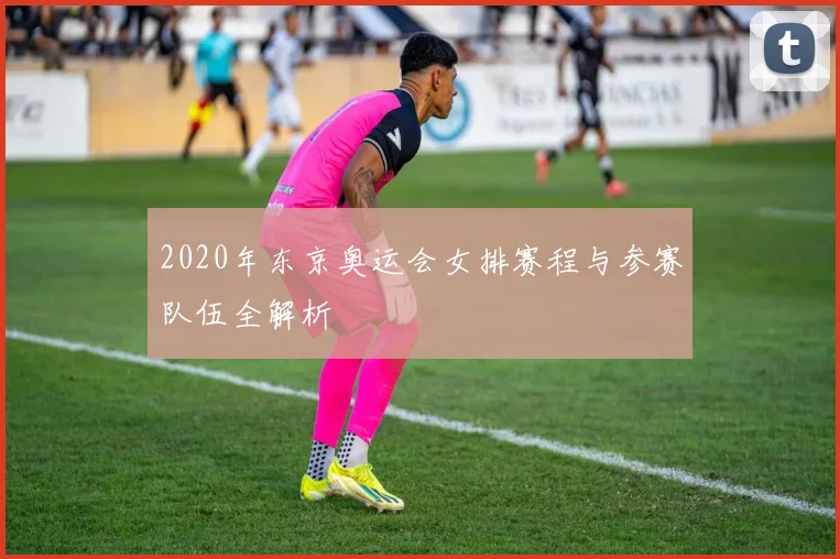 2020年东京奥运会女排赛程与参赛队伍全解析