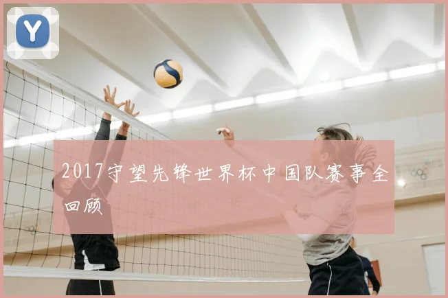 2017守望先锋世界杯中国队赛事全回顾