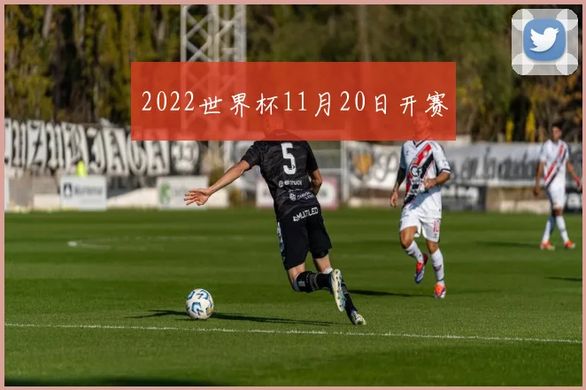 2022世界杯11月20日开赛