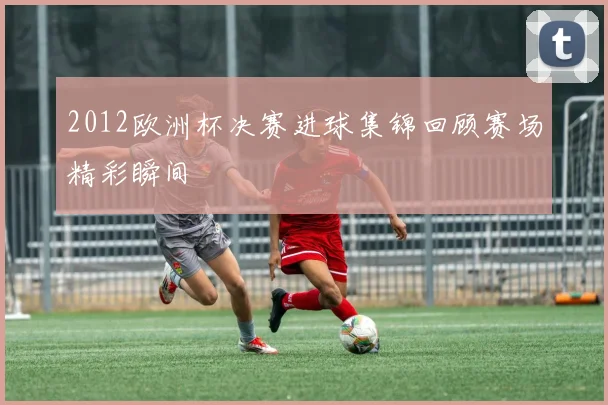 2012欧洲杯决赛进球集锦回顾赛场精彩瞬间