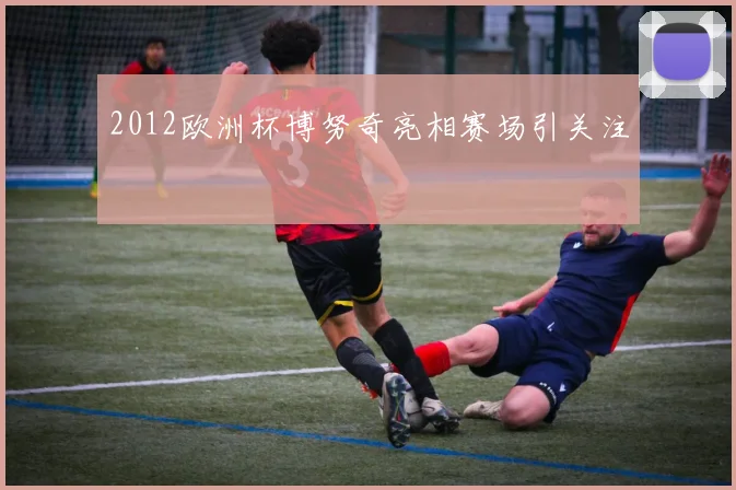 2012欧洲杯博努奇亮相赛场引关注
