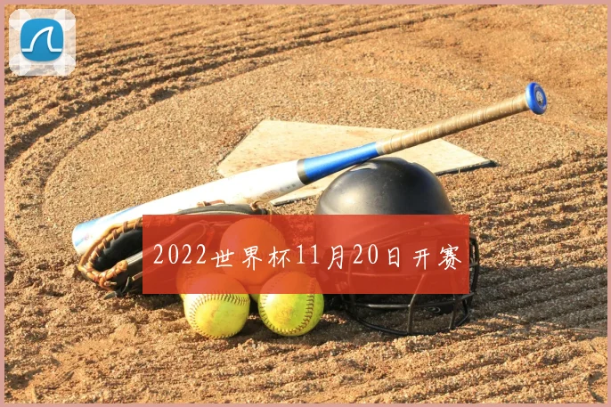 2022世界杯11月20日开赛