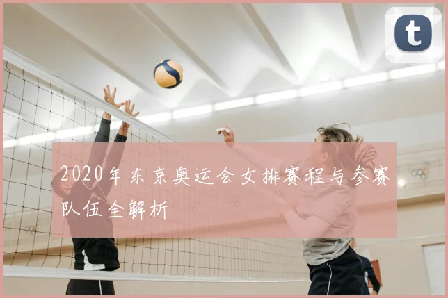 2020年东京奥运会女排赛程与参赛队伍全解析